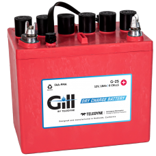 Gill G-25 Battery With Acid